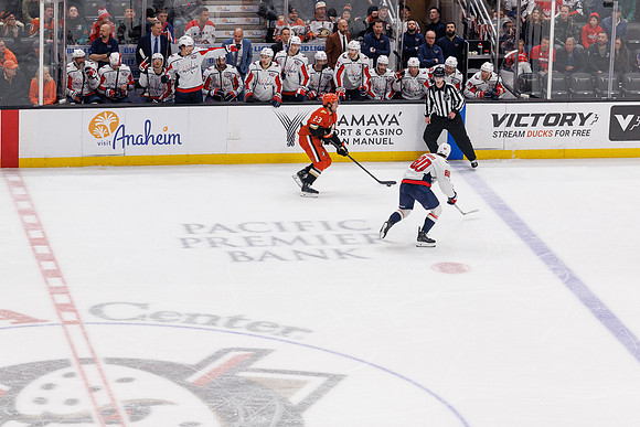 031125_ANAHEIM_DUCKS_1582