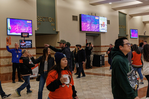 031125_ANAHEIM_DUCKS_0891