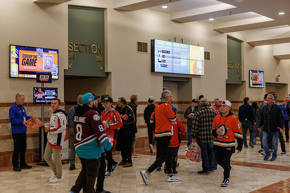 031125_ANAHEIM_DUCKS_0736