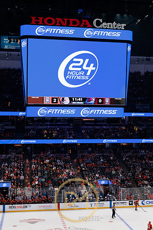 041325_ANAHEIM_DUCKS_379
