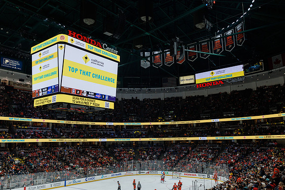 031125_ANAHEIM_DUCKS_1278