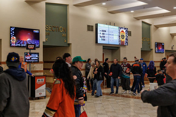 031125_ANAHEIM_DUCKS_0807