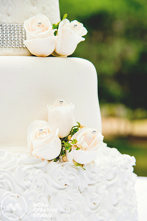 WEDDING_062715_0414