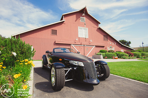 STRAWBERRY_FARM_WEDDING_020