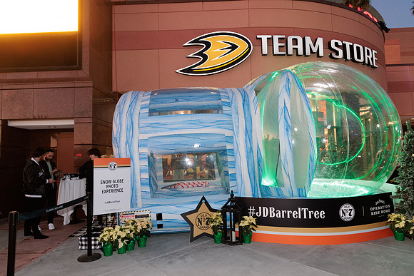 120622_ANAHEIM_DUCKS_0012