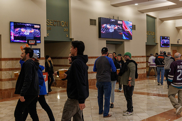 031125_ANAHEIM_DUCKS_0902