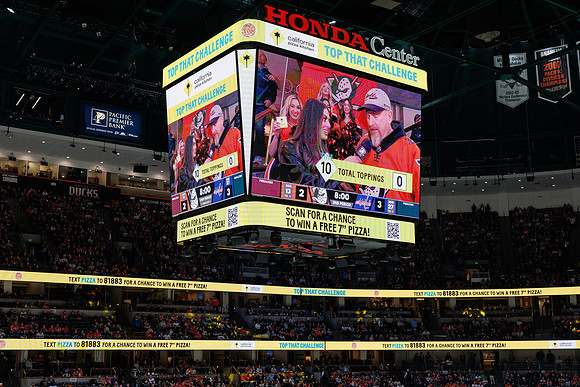031125_ANAHEIM_DUCKS_1283