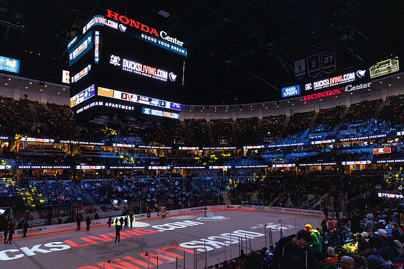031125_ANAHEIM_DUCKS_1183