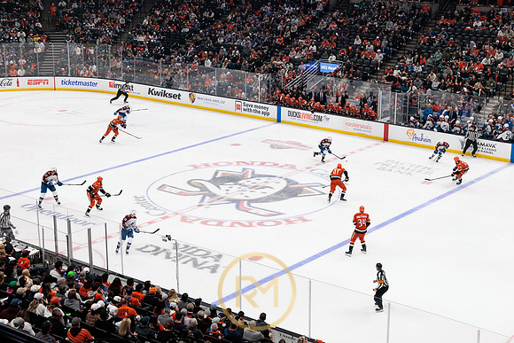 041325_ANAHEIM_DUCKS_180