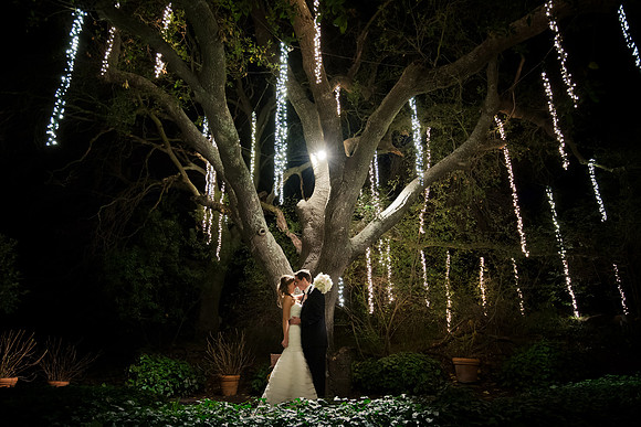 Featured Wedding Portfolio
