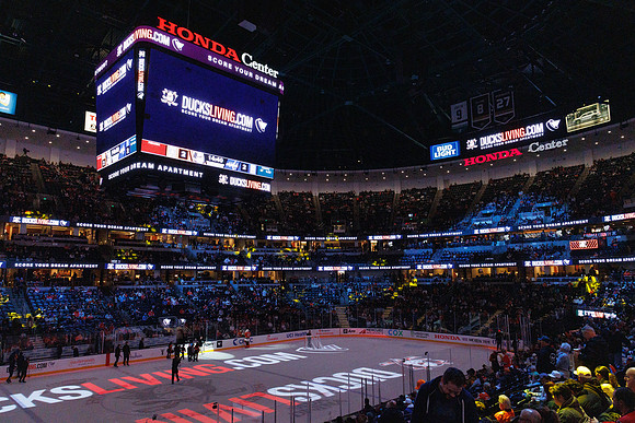 031125_ANAHEIM_DUCKS_1184