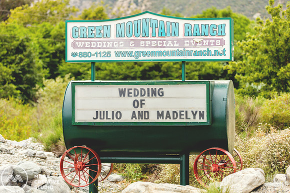 WEDDING_062715_0425