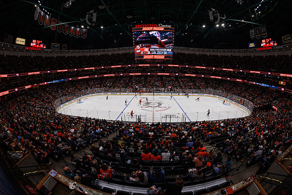 101624_ANAHEIM_DUCKS_1108