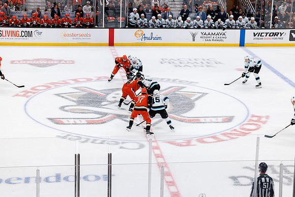 101624_ANAHEIM_DUCKS_0480