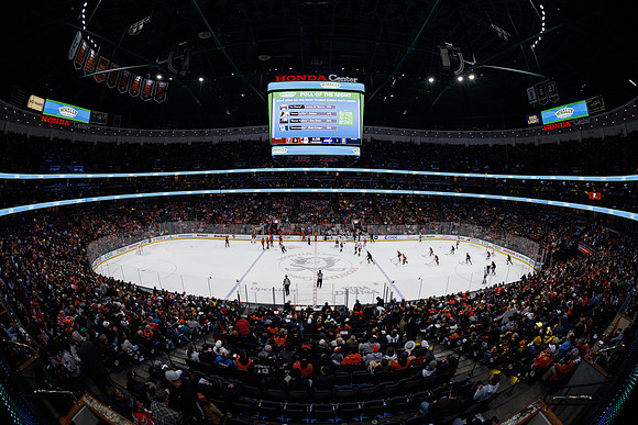 031125_ANAHEIM_DUCKS_0138