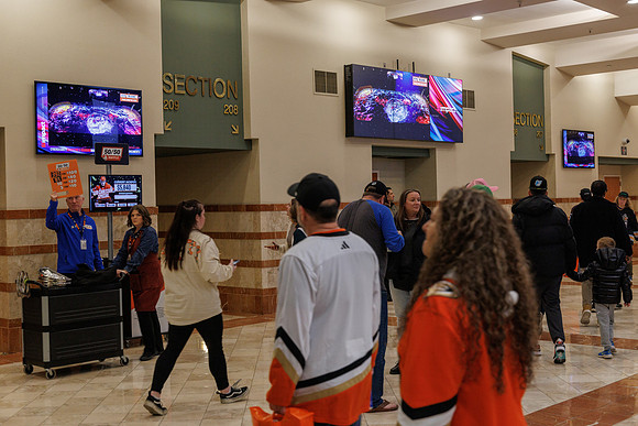 031125_ANAHEIM_DUCKS_0899