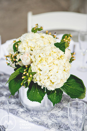 WEDDING_062715_0365
